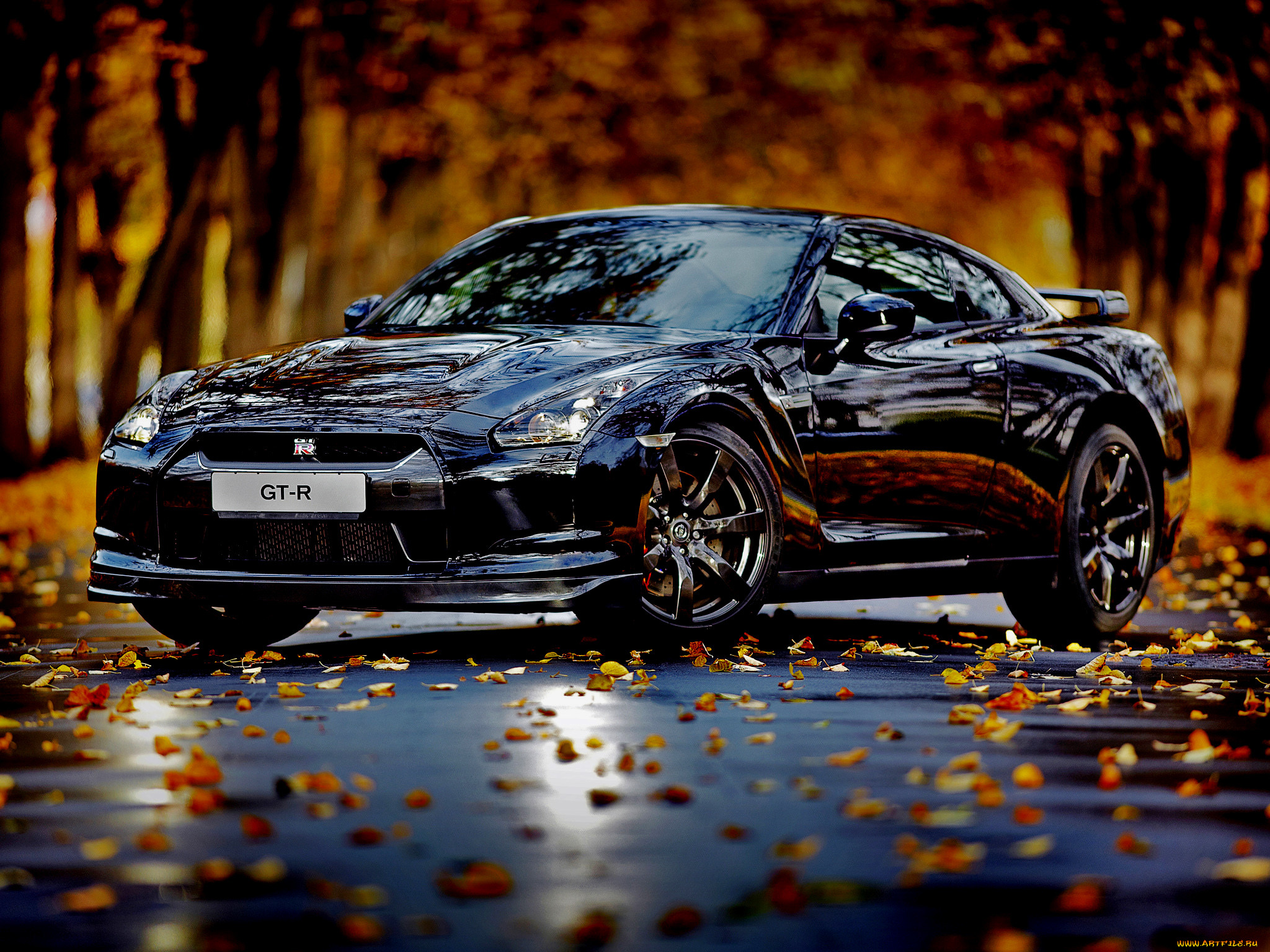 black, edition, , nissan, datsun